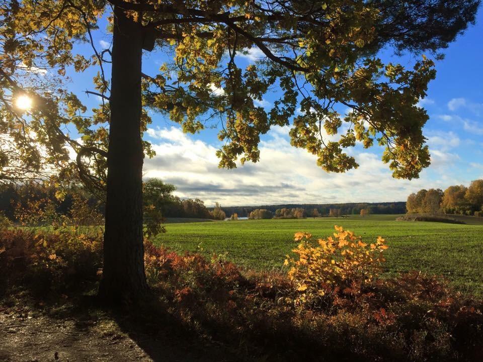 Stora Djuloe Vandrarhem Katrineholm Exterior foto